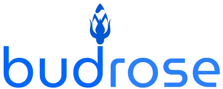 bud rose logo in blue text with a minimalist rose bud extending from the top of the d